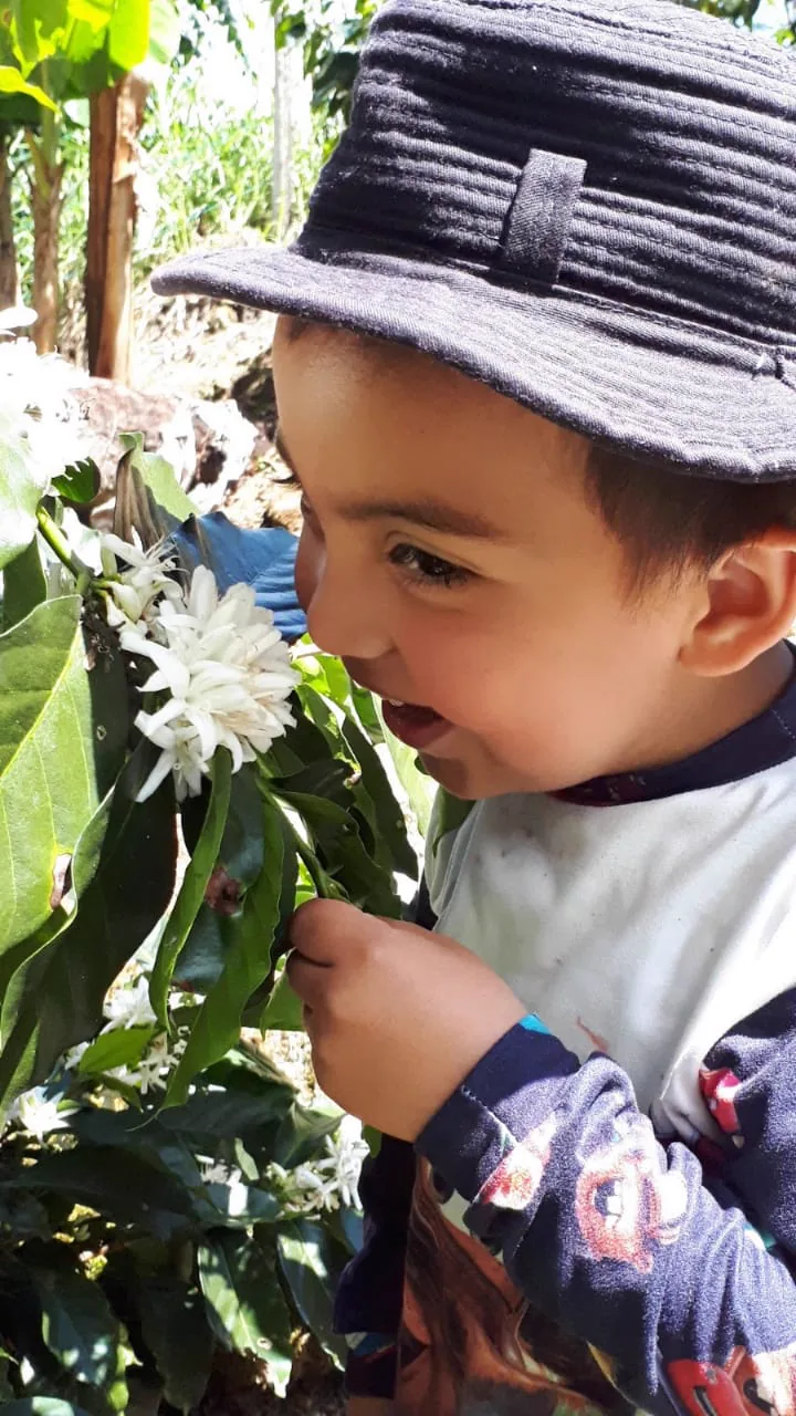 Niño observando y oliendo la floración del cafeto