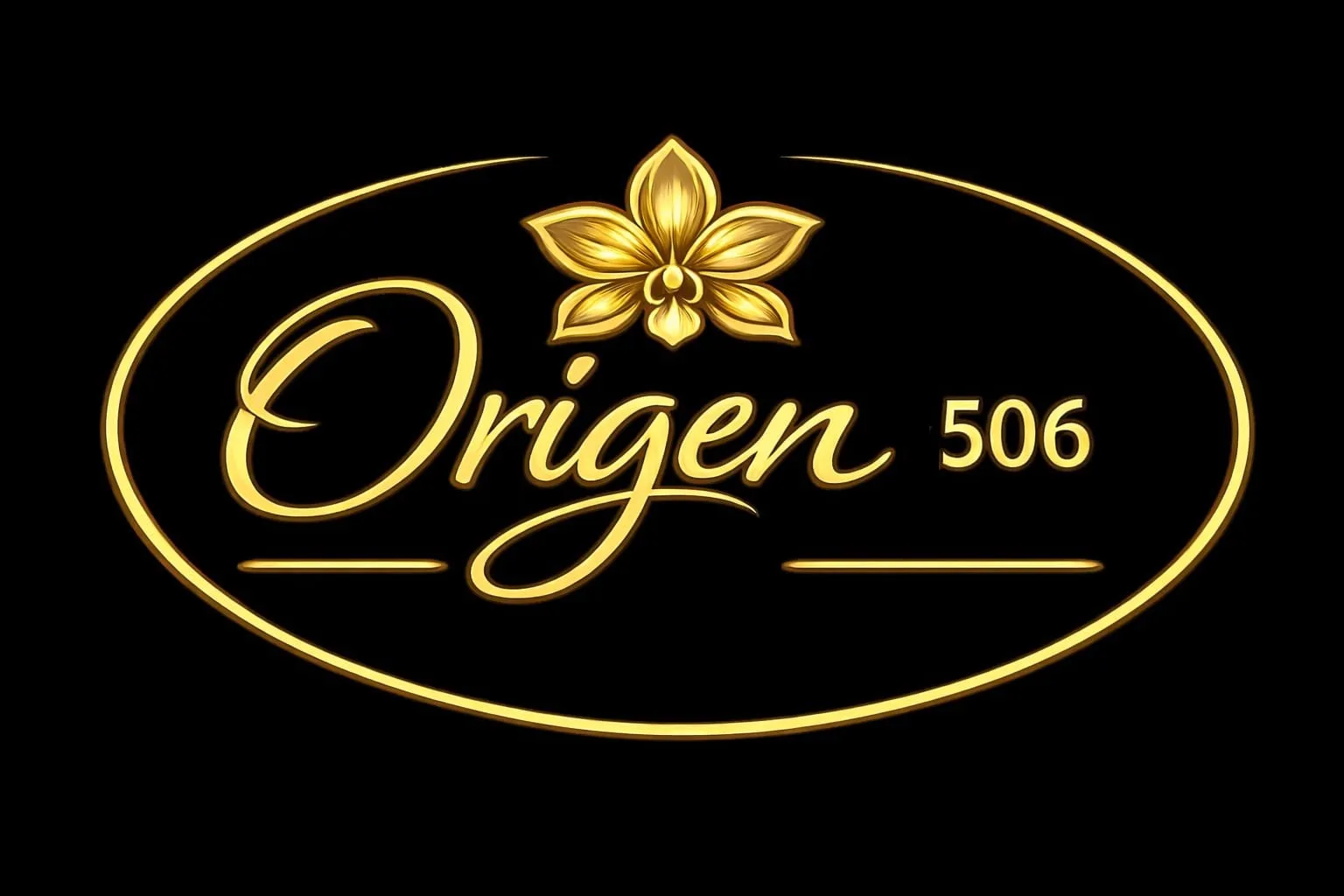 Poster de video de Origen 506